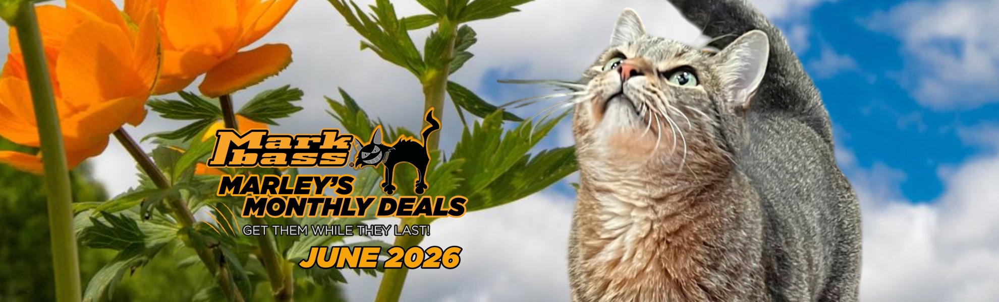 slide marley deals GIUGNO 2026_1980x600
